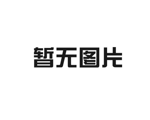 z6尊龙集团环境、社会及治理报告（2023）